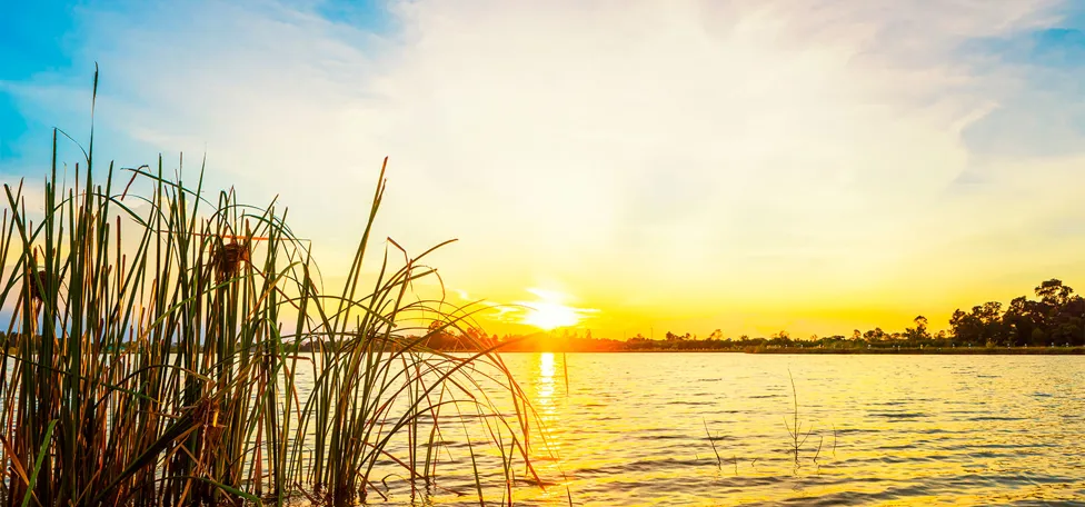 Sunset at a lake.
